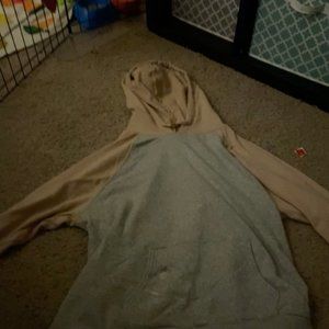 Gray and Pink Hoodie